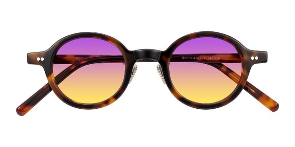 Front of Rollin in Tortoise