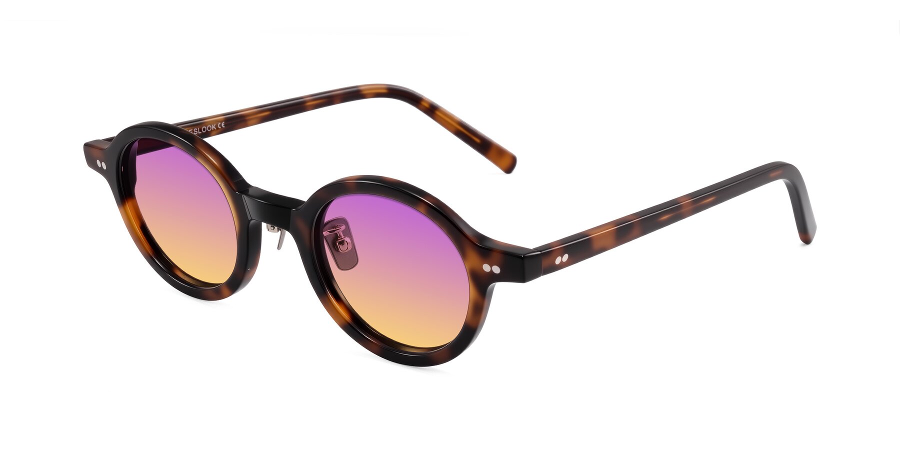 Angle of Rollin in Tortoise with Purple / Yellow Gradient Lenses