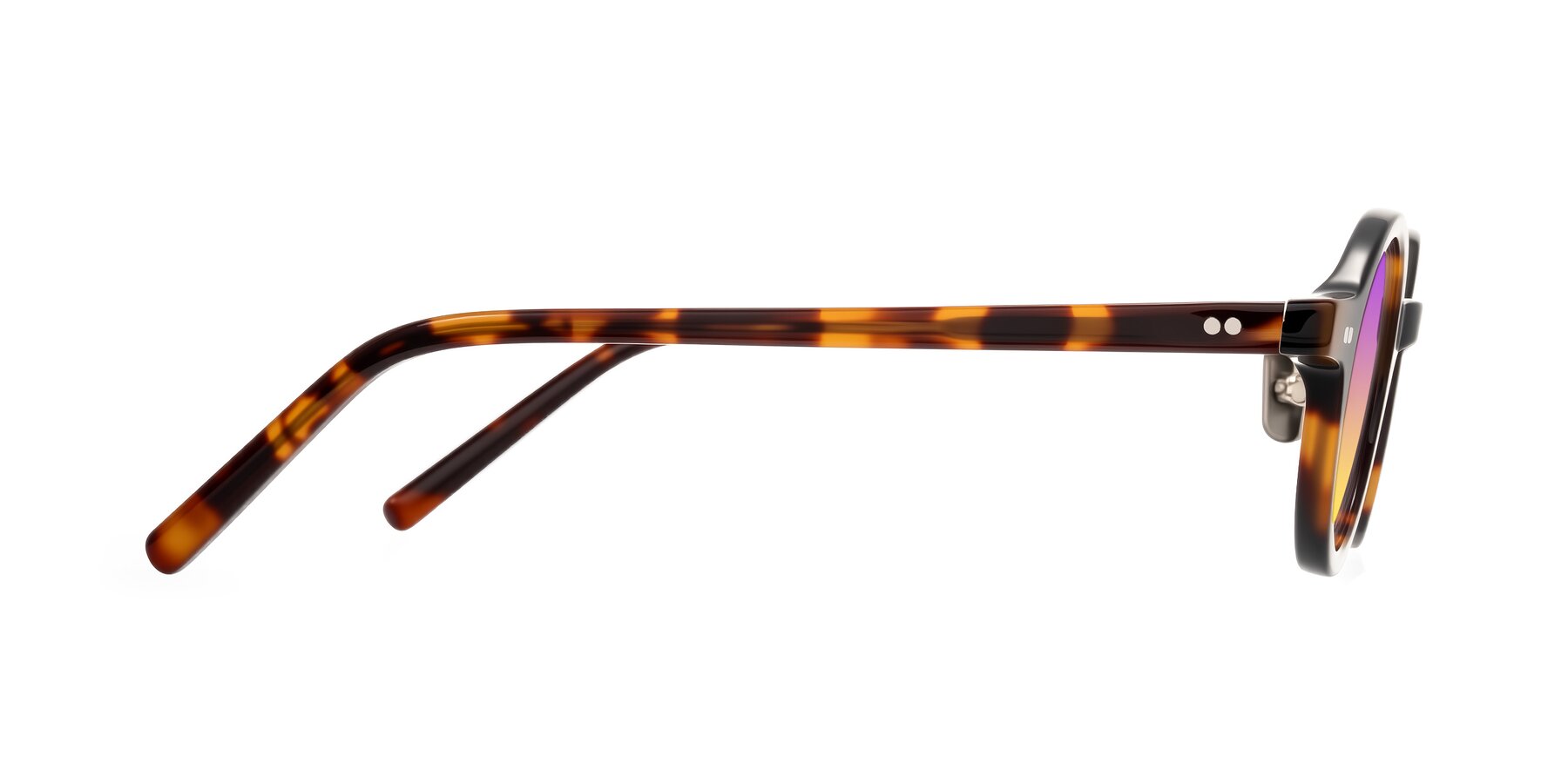 Side of Rollin in Tortoise with Purple / Yellow Gradient Lenses