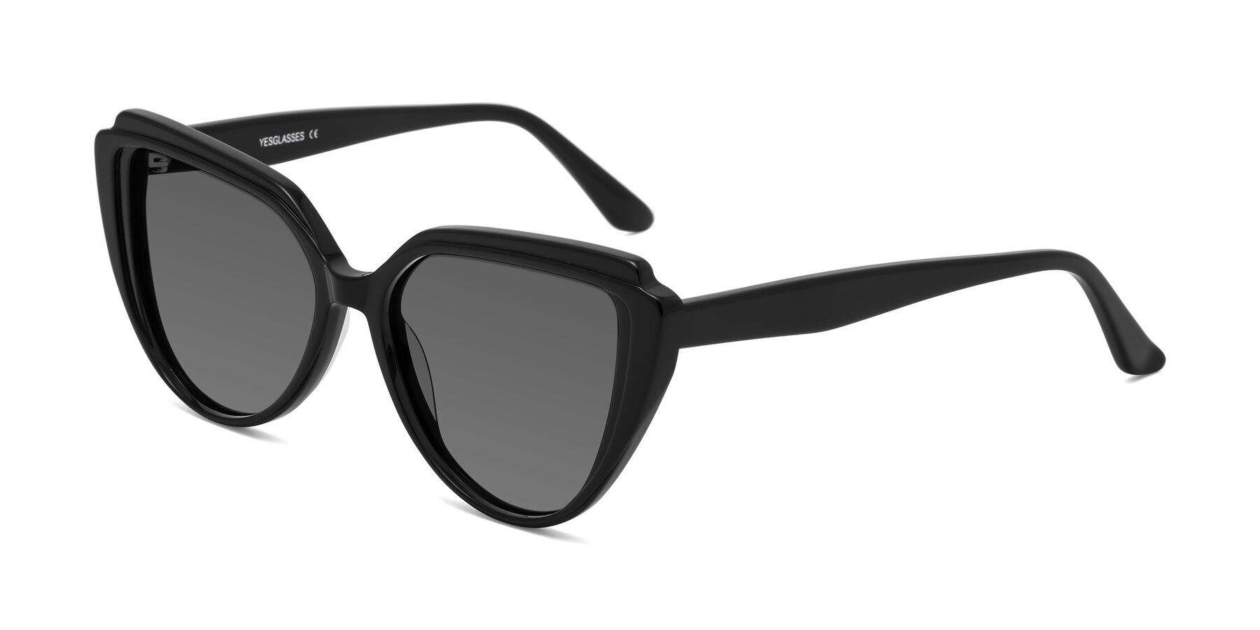 Angle of Zubar in Black with Medium Gray Tinted Lenses