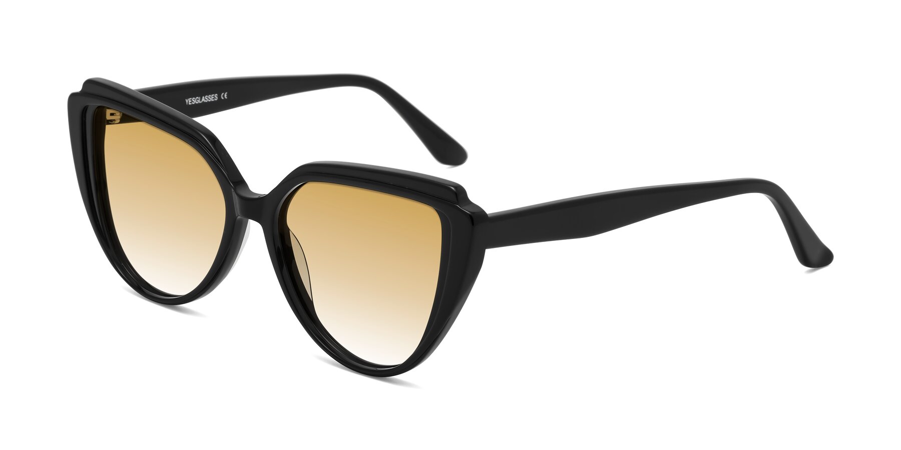Angle of Zubar in Black with Champagne Gradient Lenses