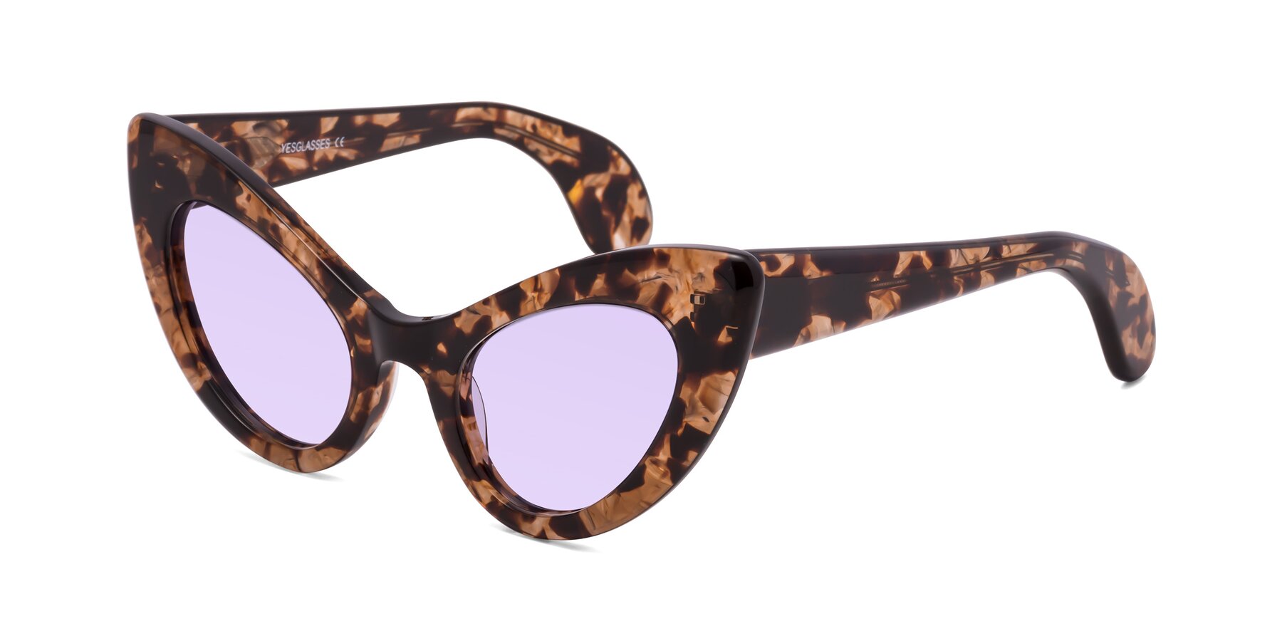 Angle of Khalid in Translucent Brown Tortoise with Light Purple Tinted Lenses