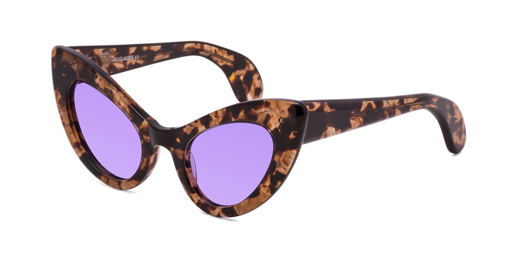 Angle of Khalid in Translucent Brown Tortoise with Medium Purple Tinted Lenses