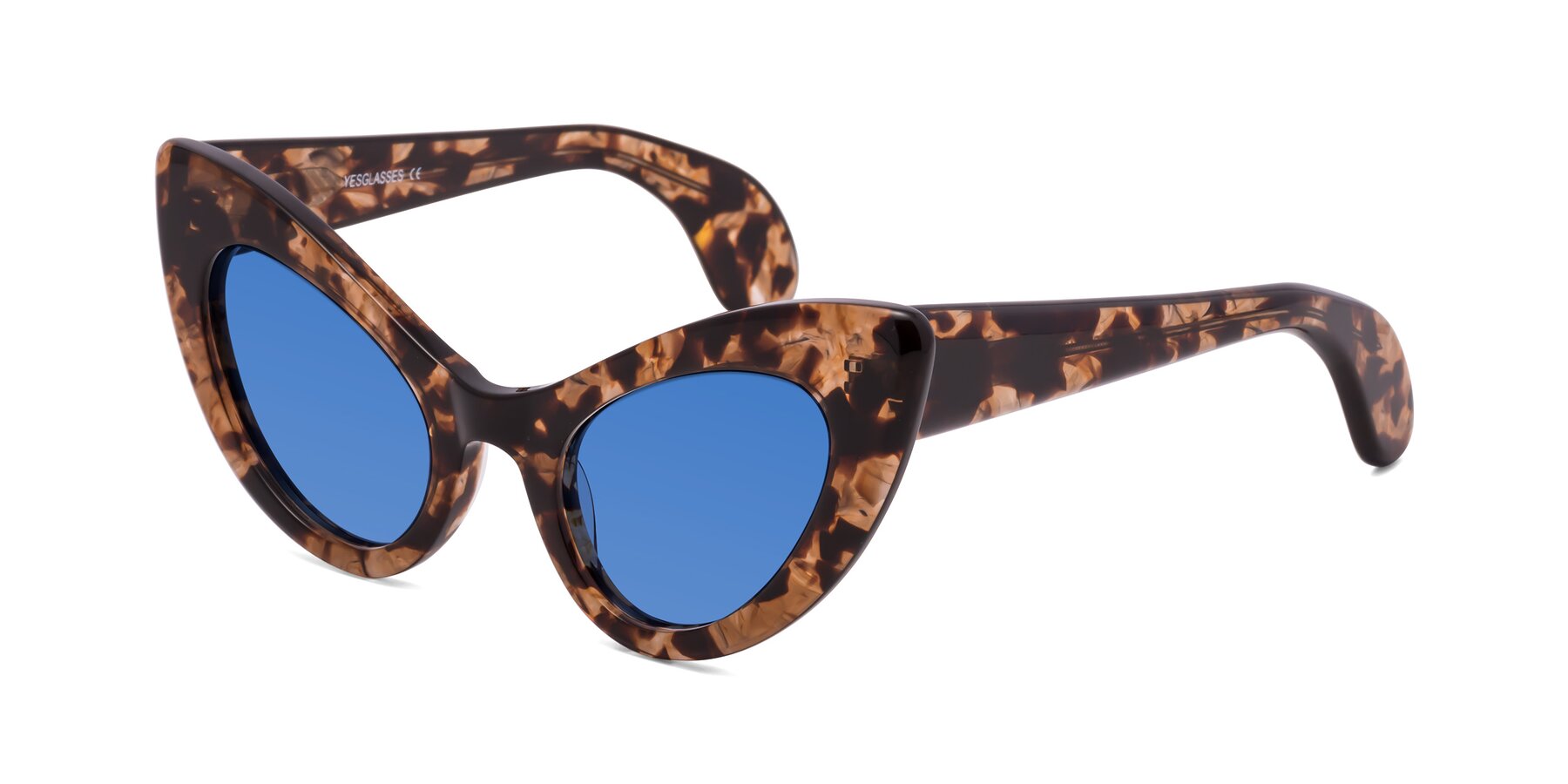 Angle of Khalid in Translucent Brown Tortoise with Blue Tinted Lenses