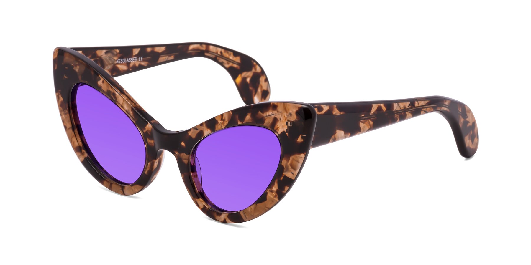 Angle of Khalid in Translucent Brown Tortoise with Purple Tinted Lenses