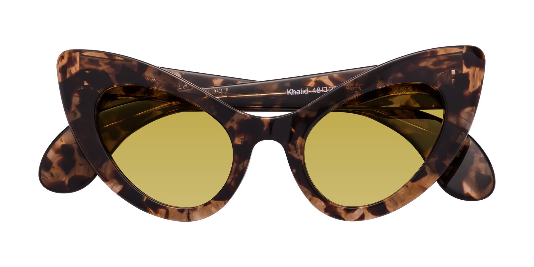 Folded Front of Khalid in Translucent Brown Tortoise with Champagne Tinted Lenses