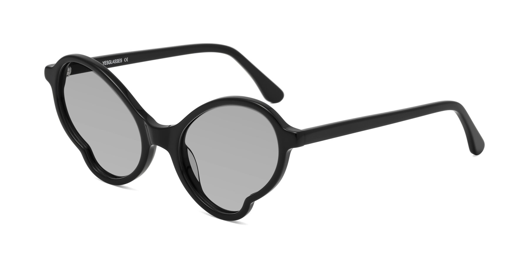 Angle of Gabriel in Black with Light Gray Tinted Lenses