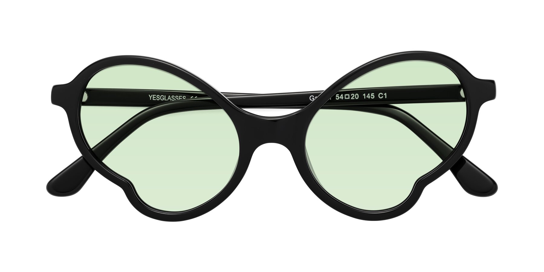 Folded Front of Gabriel in Black with Light Green Tinted Lenses