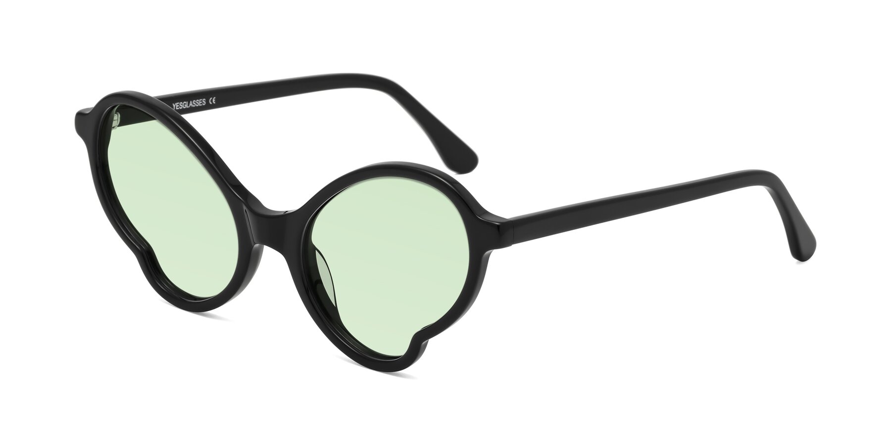 Angle of Gabriel in Black with Light Green Tinted Lenses