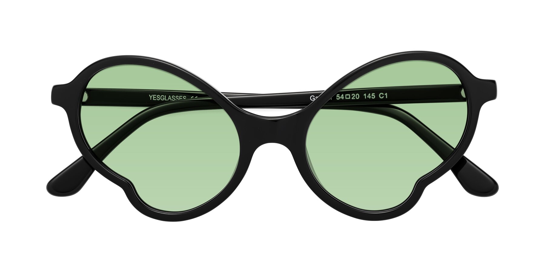 Folded Front of Gabriel in Black with Medium Green Tinted Lenses