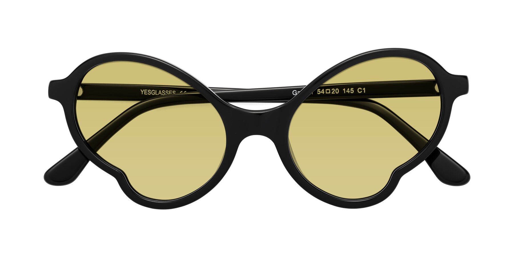 Folded Front of Gabriel in Black with Medium Champagne Tinted Lenses