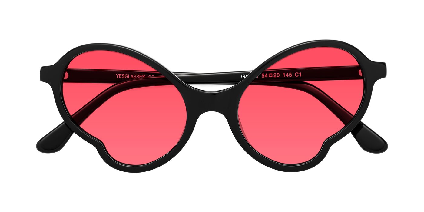 Gabriel - Black Tinted Sunglasses