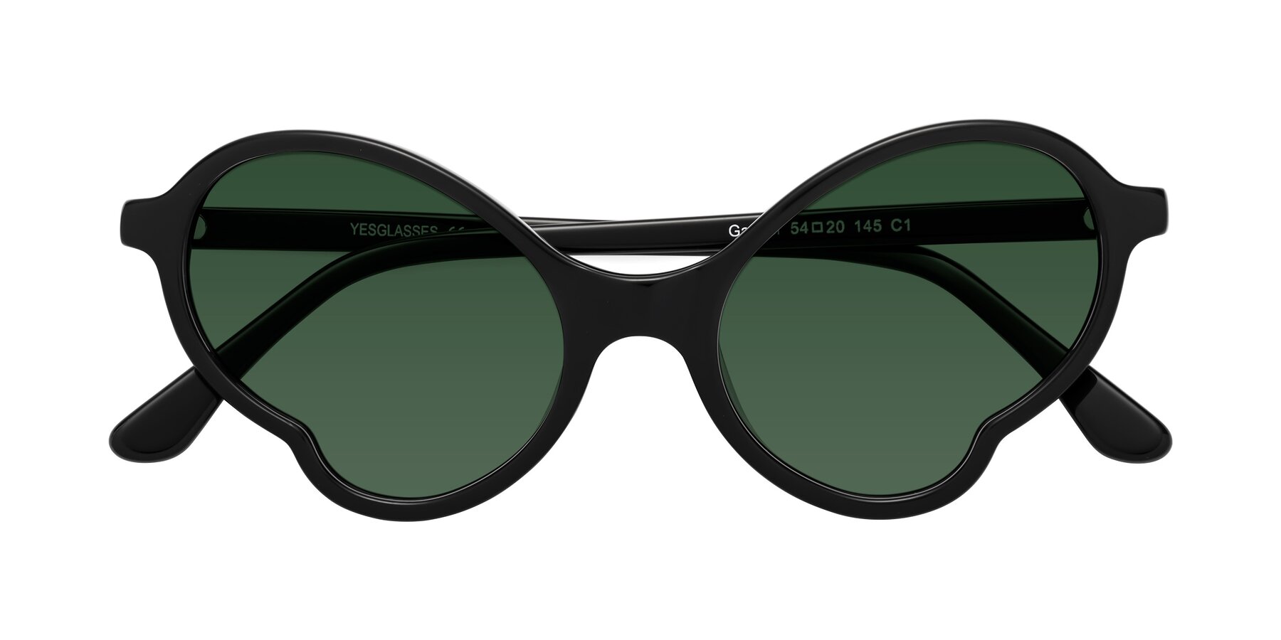 Folded Front of Gabriel in Black with Green Tinted Lenses