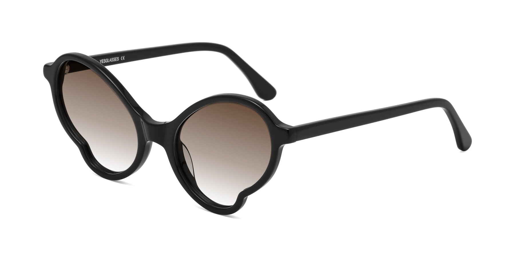 Angle of Gabriel in Black with Brown Gradient Lenses