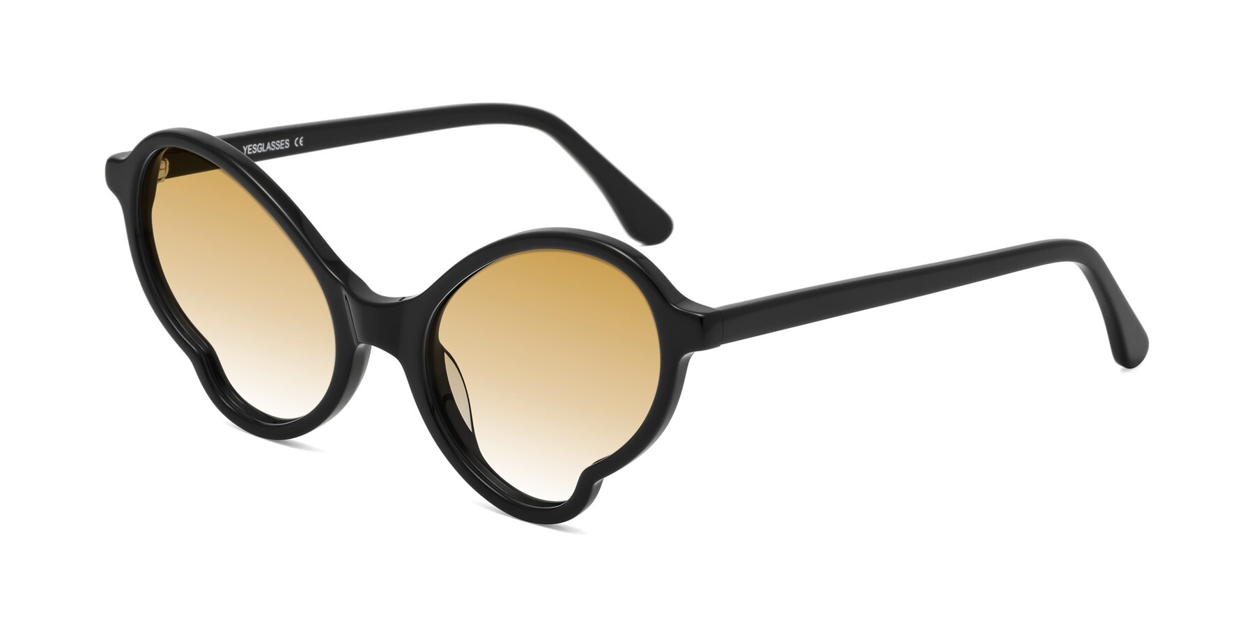 Angle of Gabriel in Black with Champagne Gradient Lenses