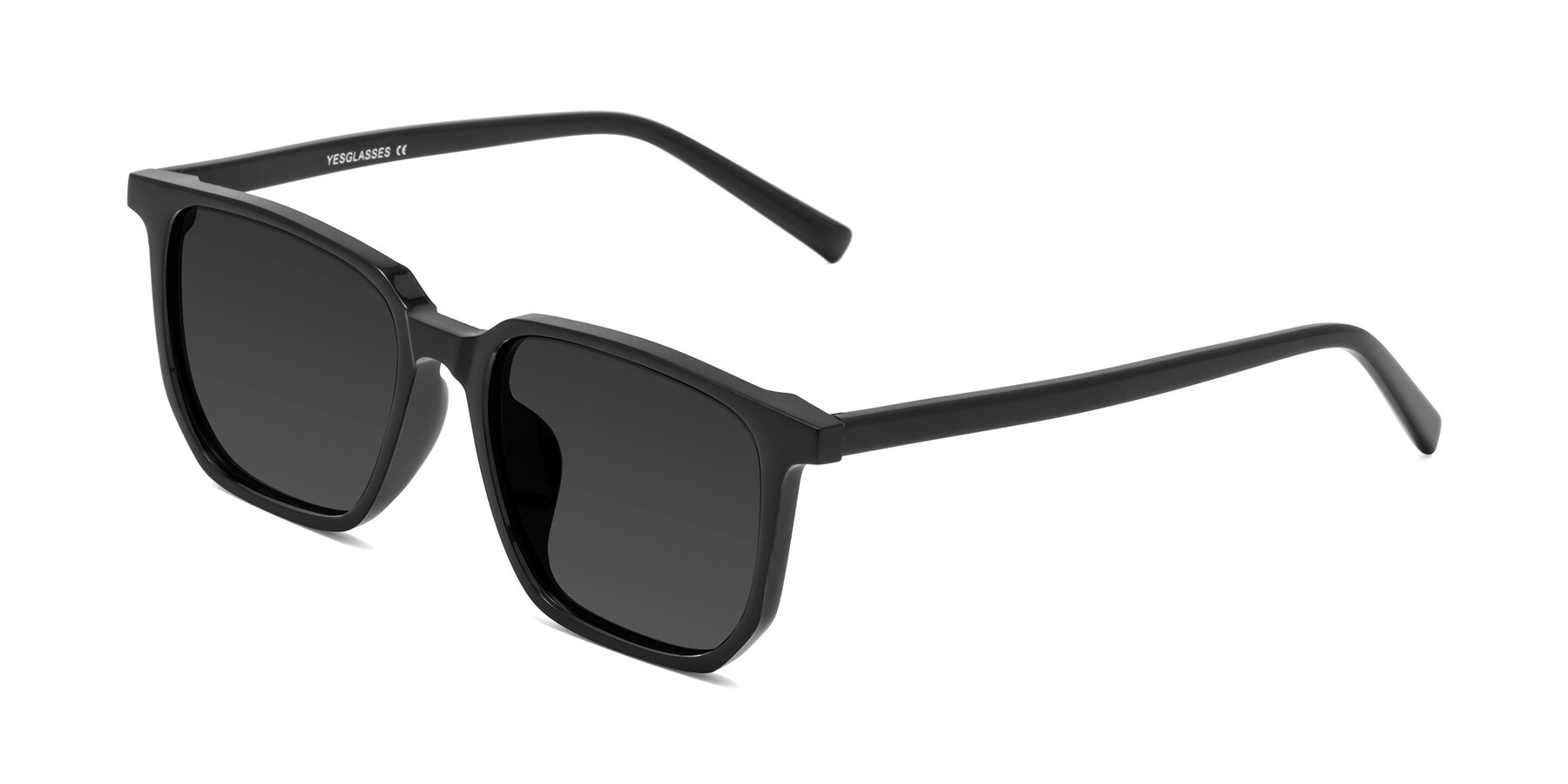 Angle of Brave in Black with Gray Tinted Lenses