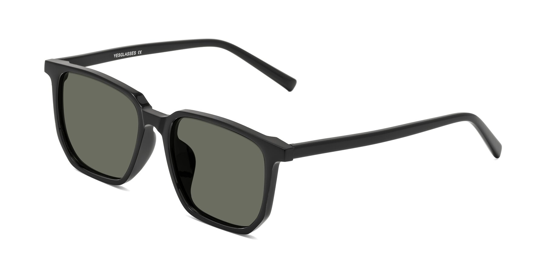 Angle of Brave in Black with Gray Polarized Lenses