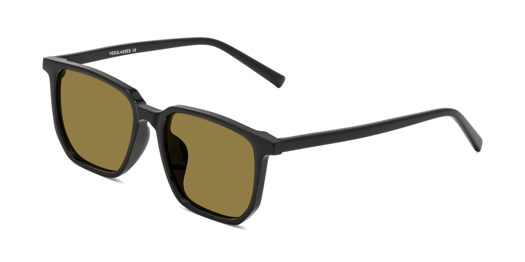 Angle of Brave in Black with Brown Polarized Lenses