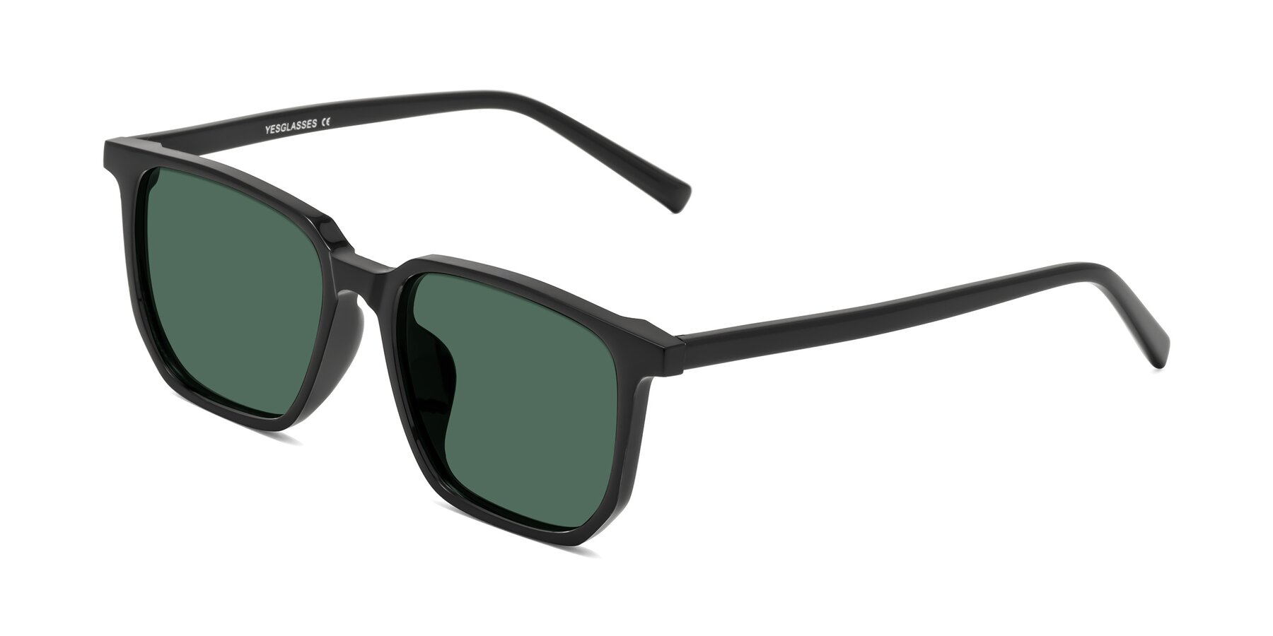 Angle of Brave in Black with Green Polarized Lenses