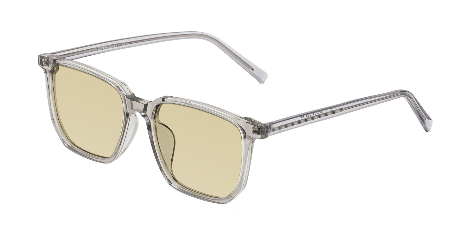 Angle of Brave in Translucent Gray with Light Champagne Tinted Lenses