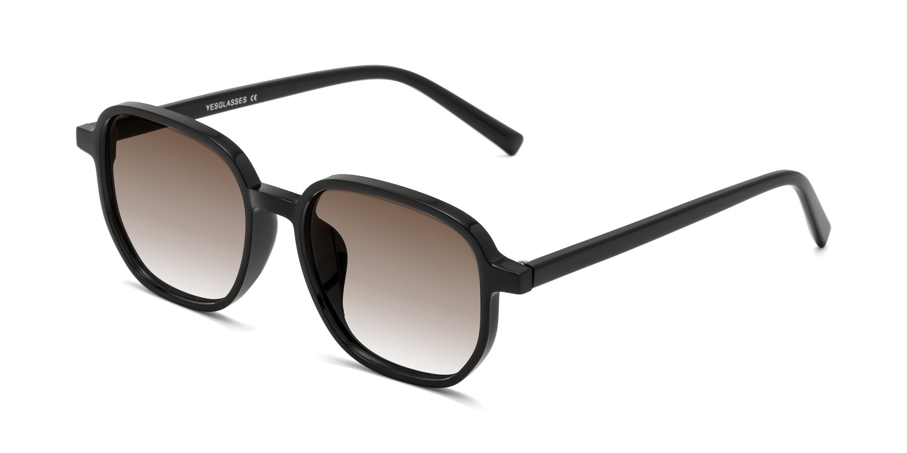 Angle of Cute in Black with Brown Gradient Lenses