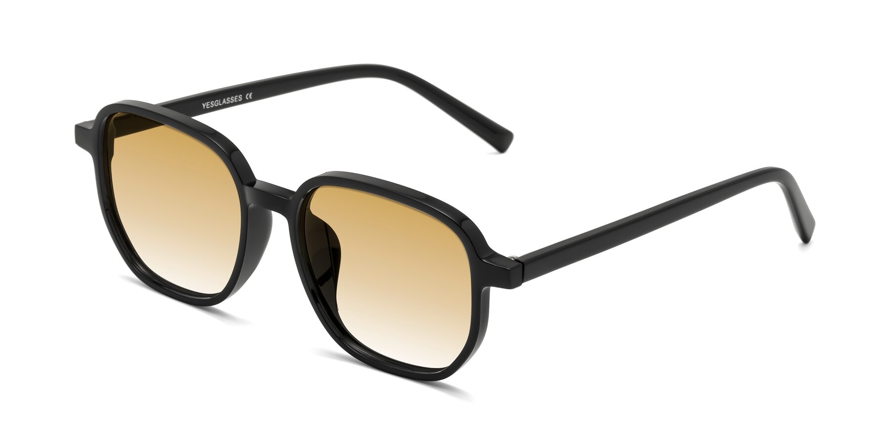 Angle of Cute in Black with Champagne Gradient Lenses