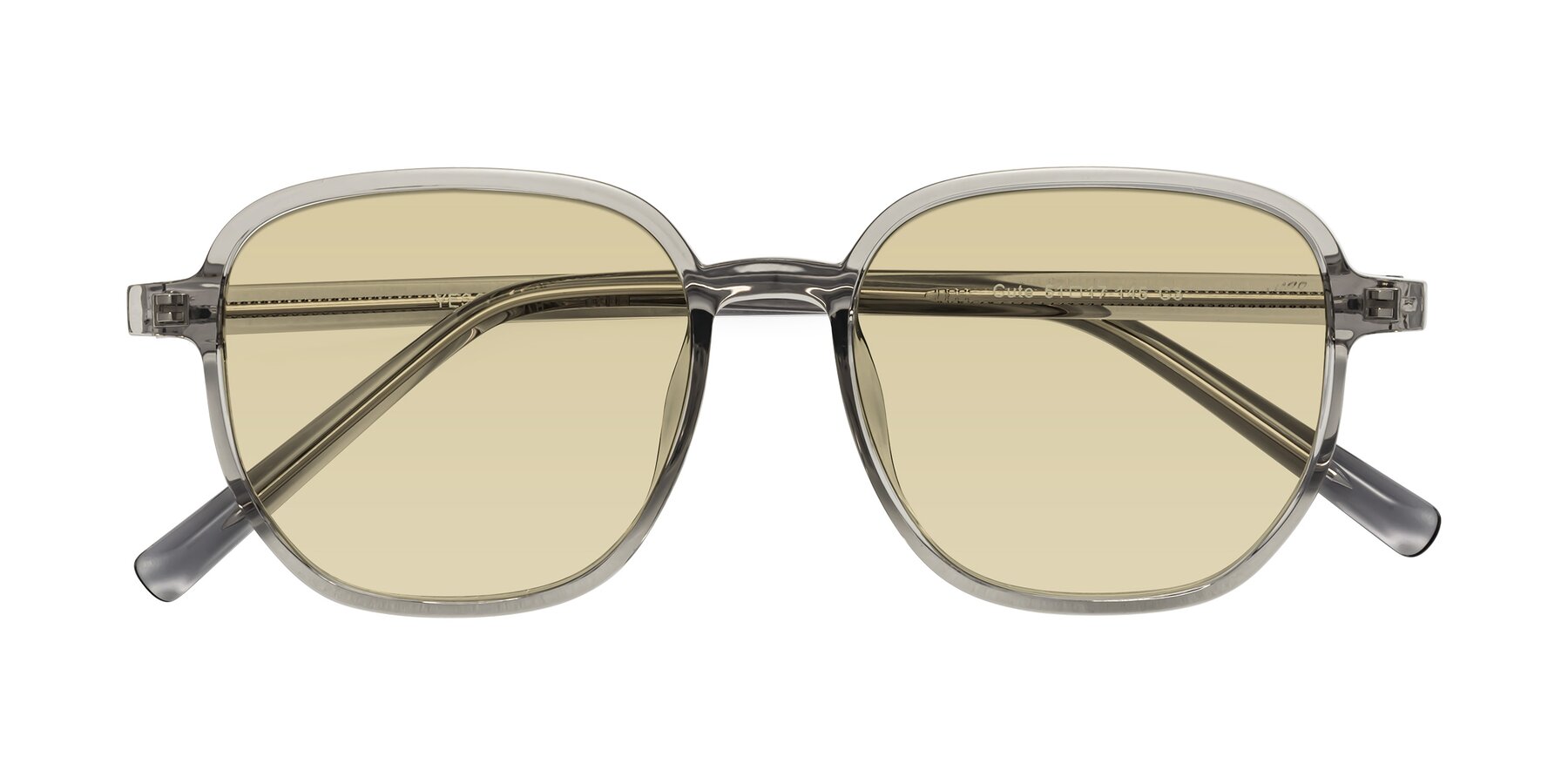 Folded Front of Cute in Translucent Gray with Light Champagne Tinted Lenses