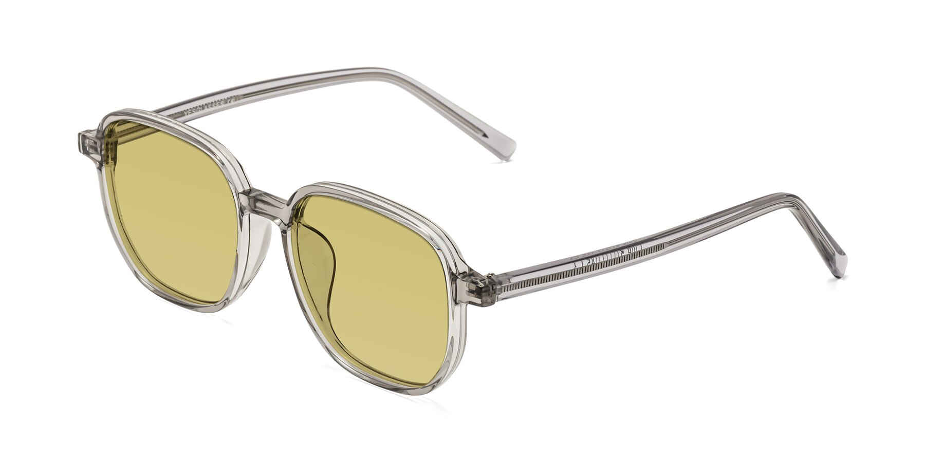 Angle of Cute in Translucent Gray with Medium Champagne Tinted Lenses