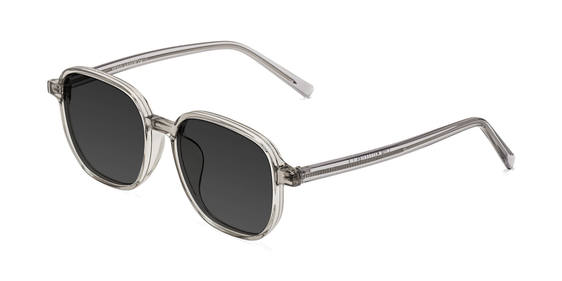 Angle of Cute in Translucent Gray with Gray Tinted Lenses