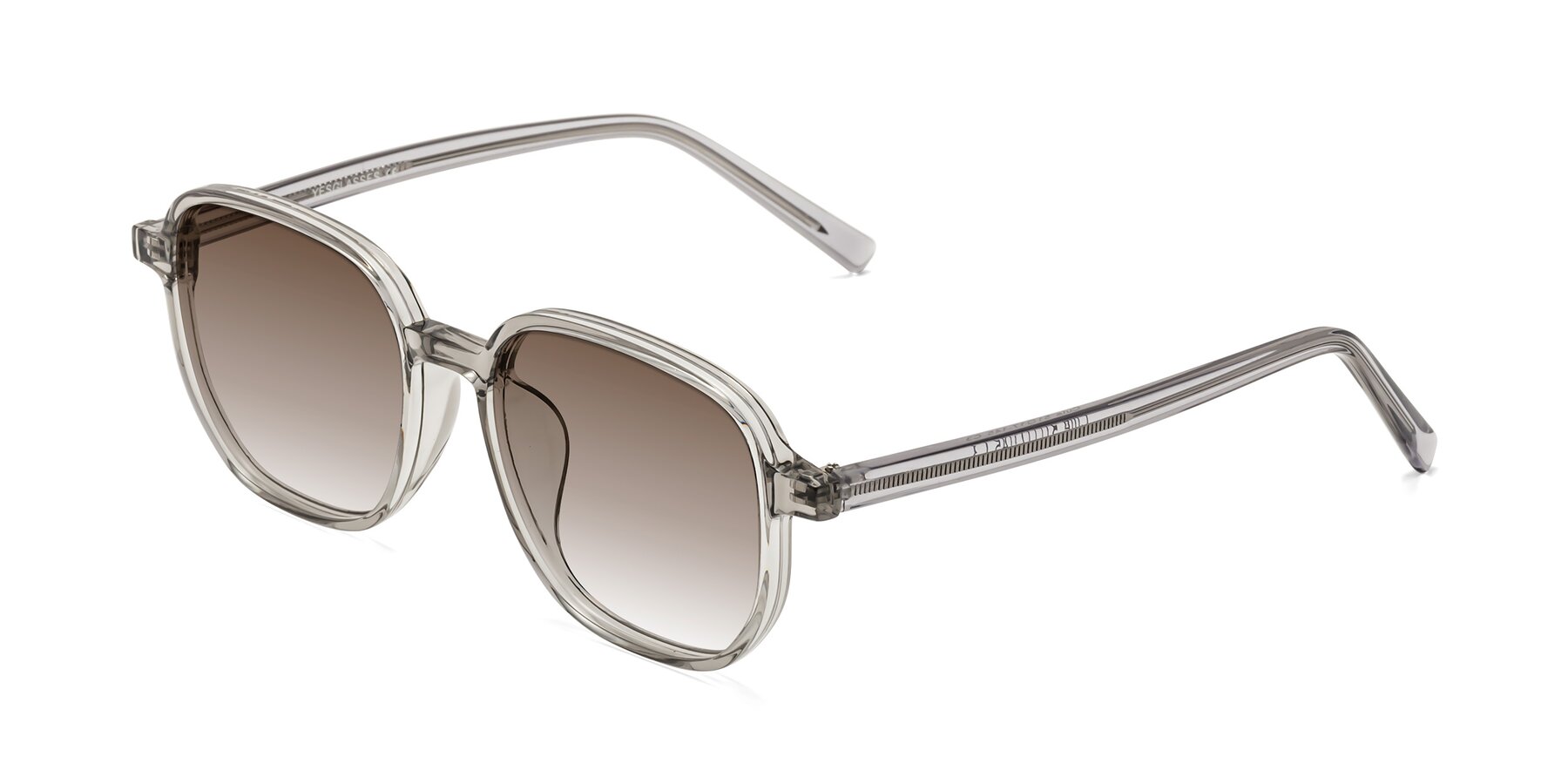Angle of Cute in Translucent Gray with Brown Gradient Lenses