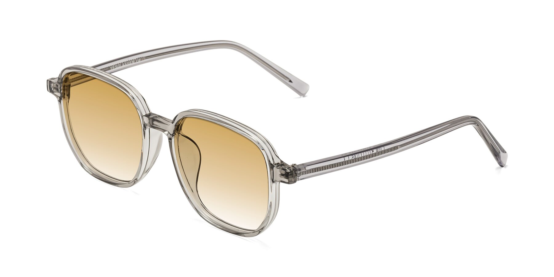 Angle of Cute in Translucent Gray with Champagne Gradient Lenses