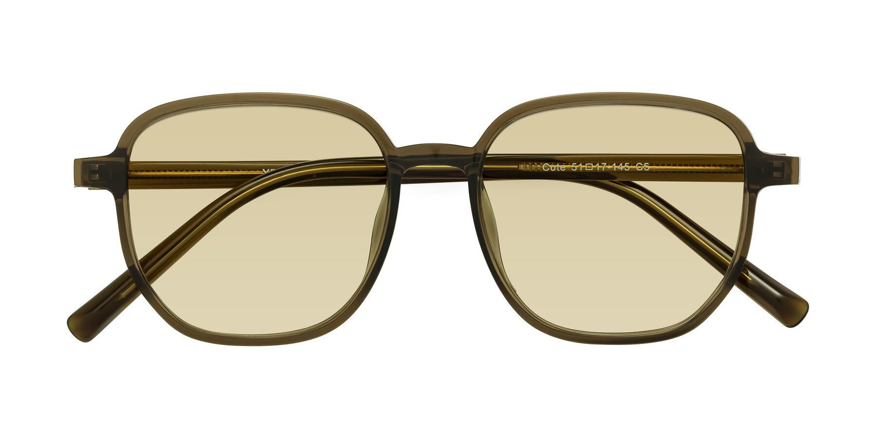 Folded Front of Cute in Coffee with Light Champagne Tinted Lenses