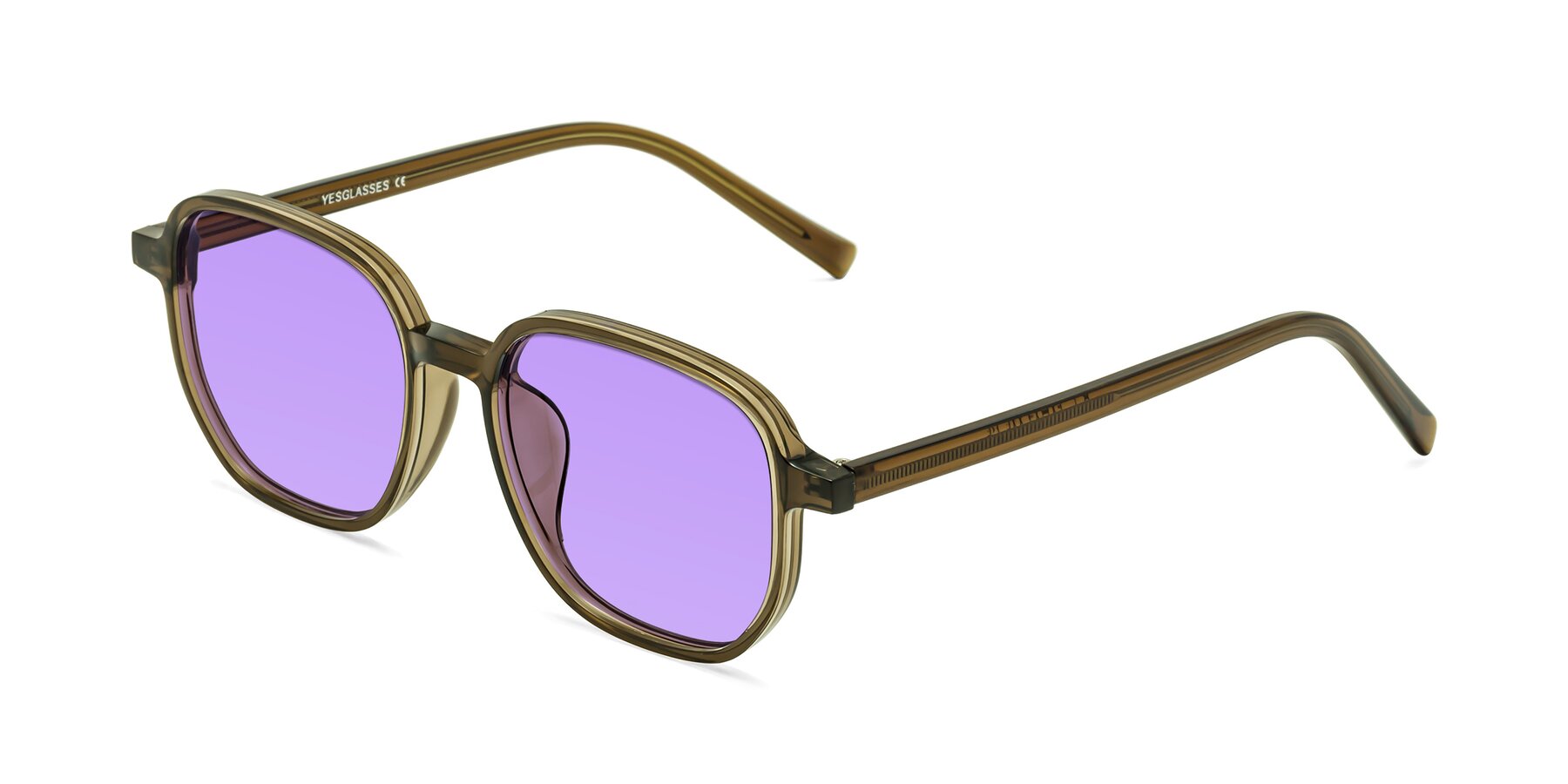 Angle of Cute in Coffee with Medium Purple Tinted Lenses