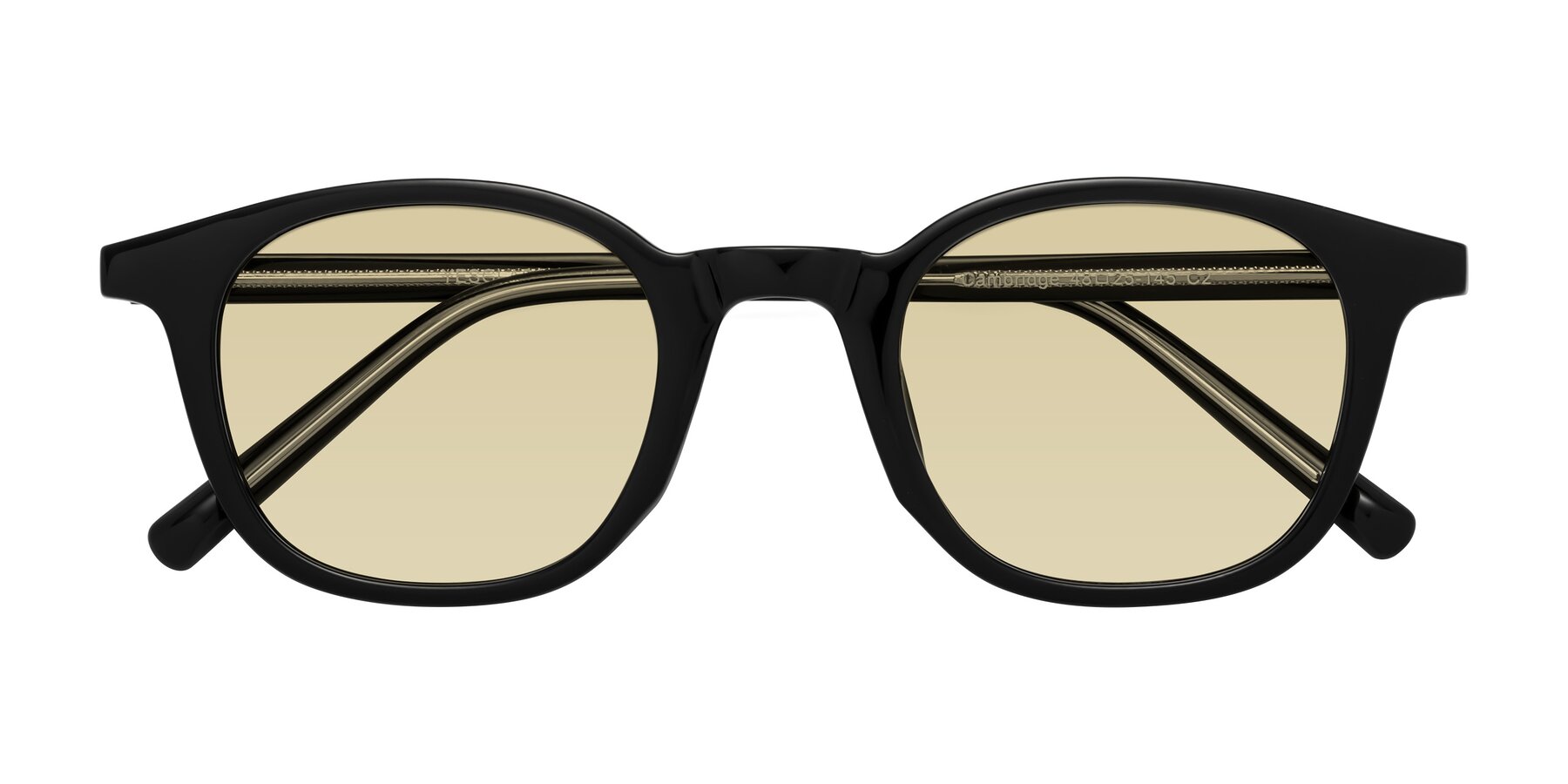 Folded Front of Cambridge in Black with Light Champagne Tinted Lenses