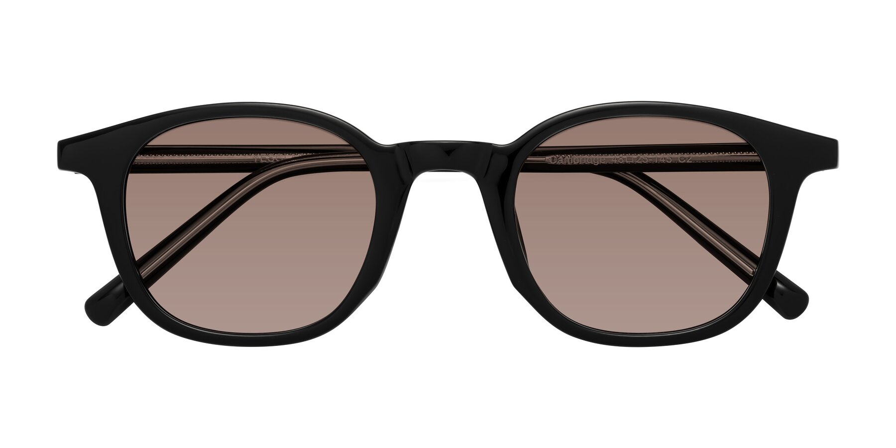 Folded Front of Cambridge in Black with Medium Brown Tinted Lenses