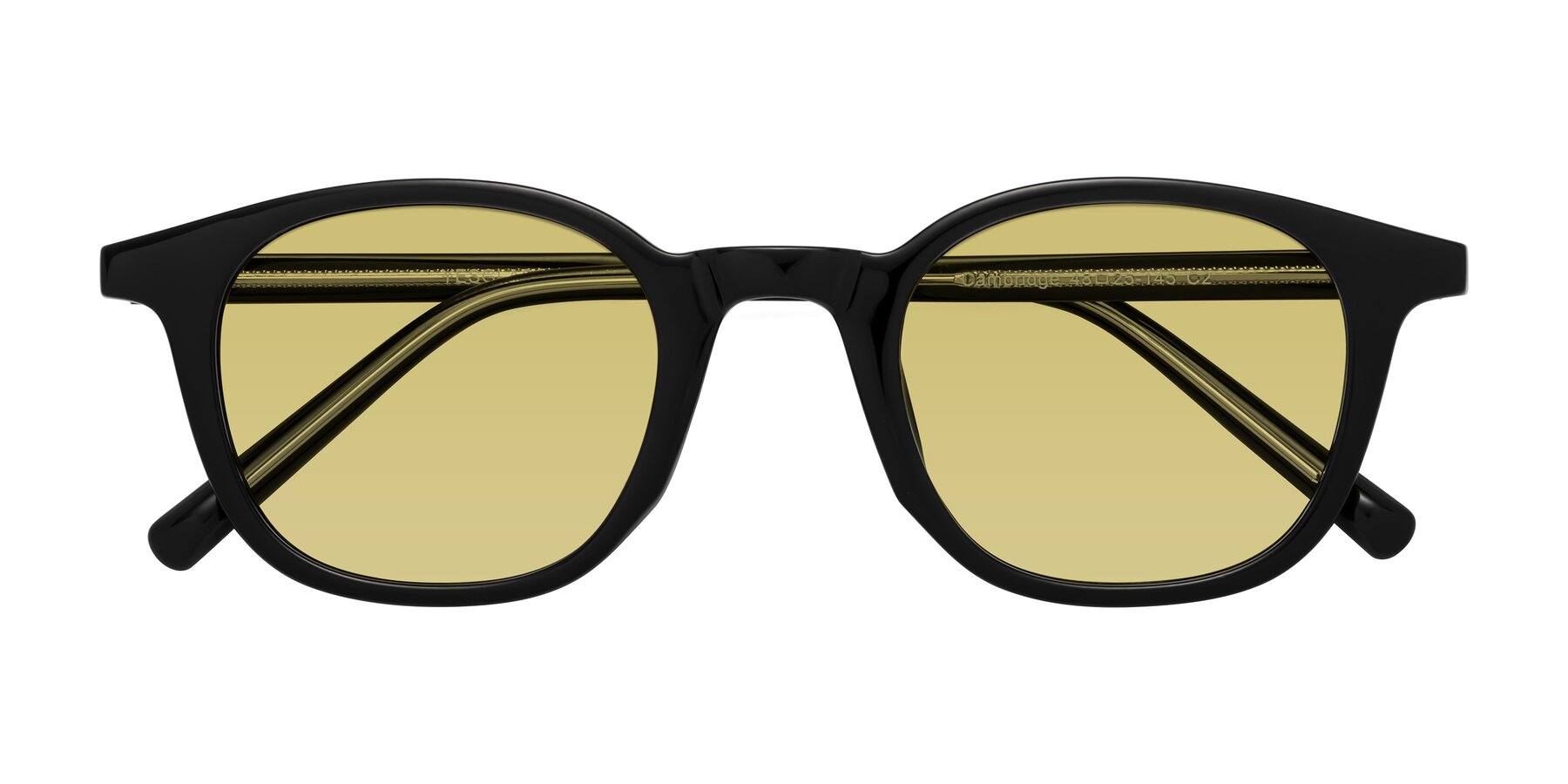 Folded Front of Cambridge in Black with Medium Champagne Tinted Lenses
