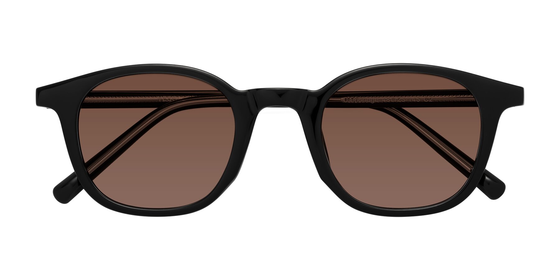 Folded Front of Cambridge in Black with Brown Tinted Lenses