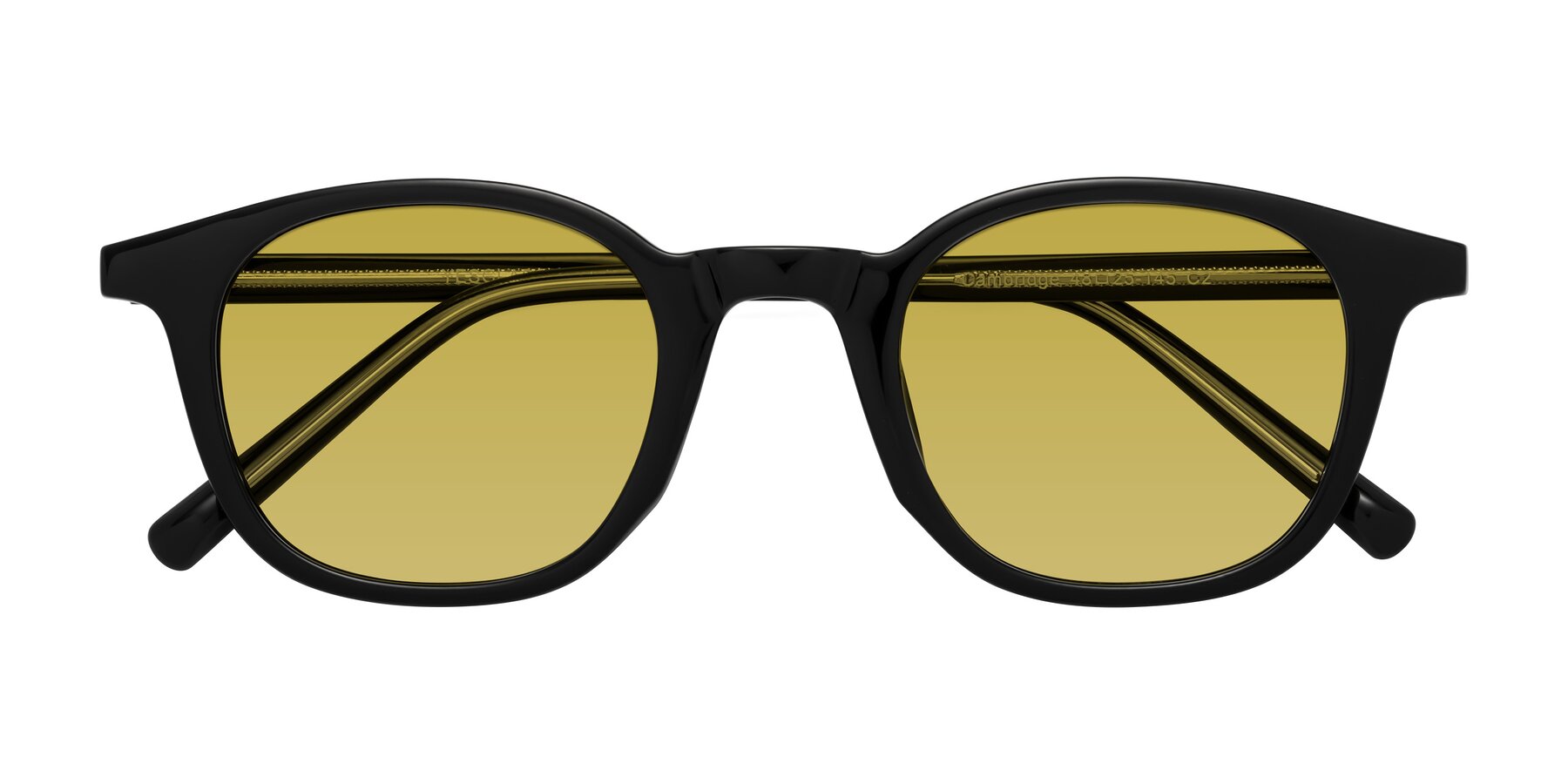 Folded Front of Cambridge in Black with Champagne Tinted Lenses