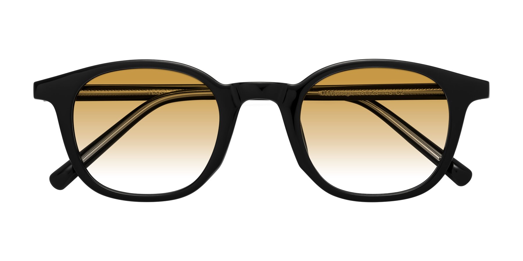 Folded Front of Cambridge in Black with Champagne Gradient Lenses