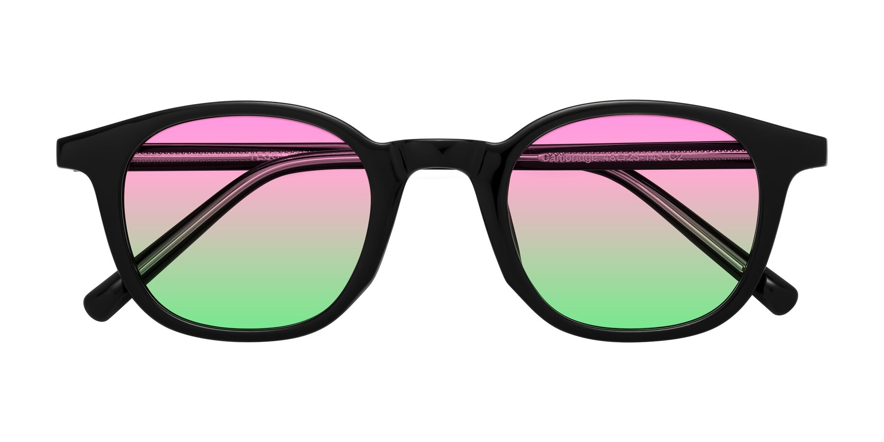 Folded Front of Cambridge in Black with Pink / Green Gradient Lenses