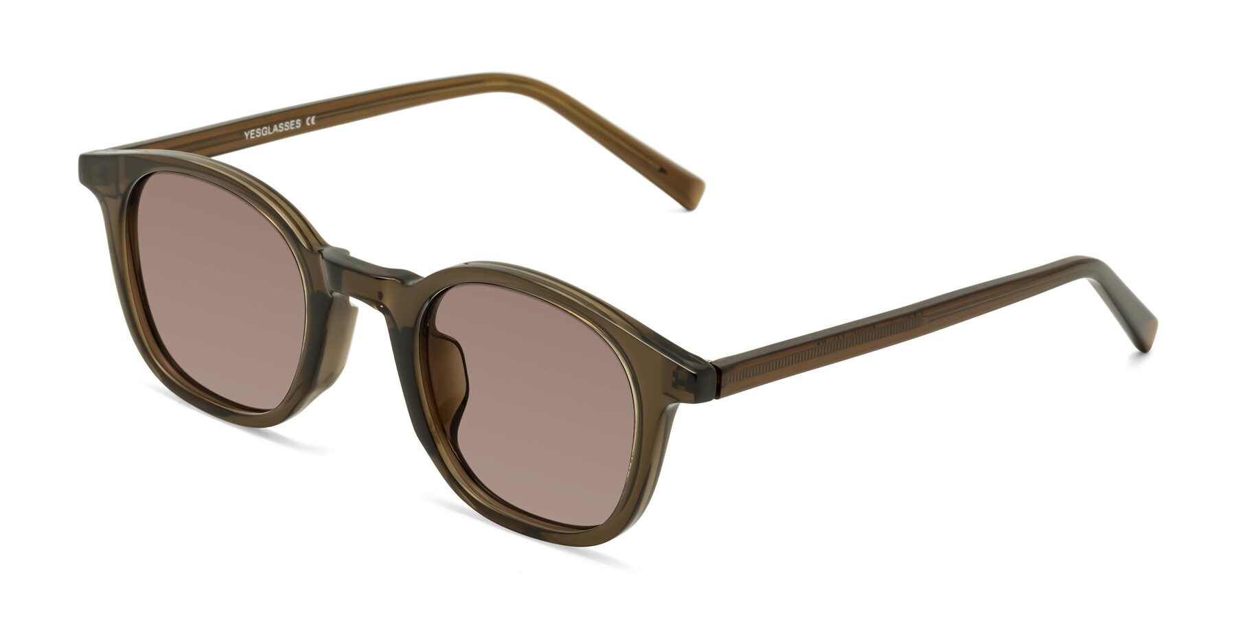 Angle of Cambridge in Coffee with Medium Brown Tinted Lenses