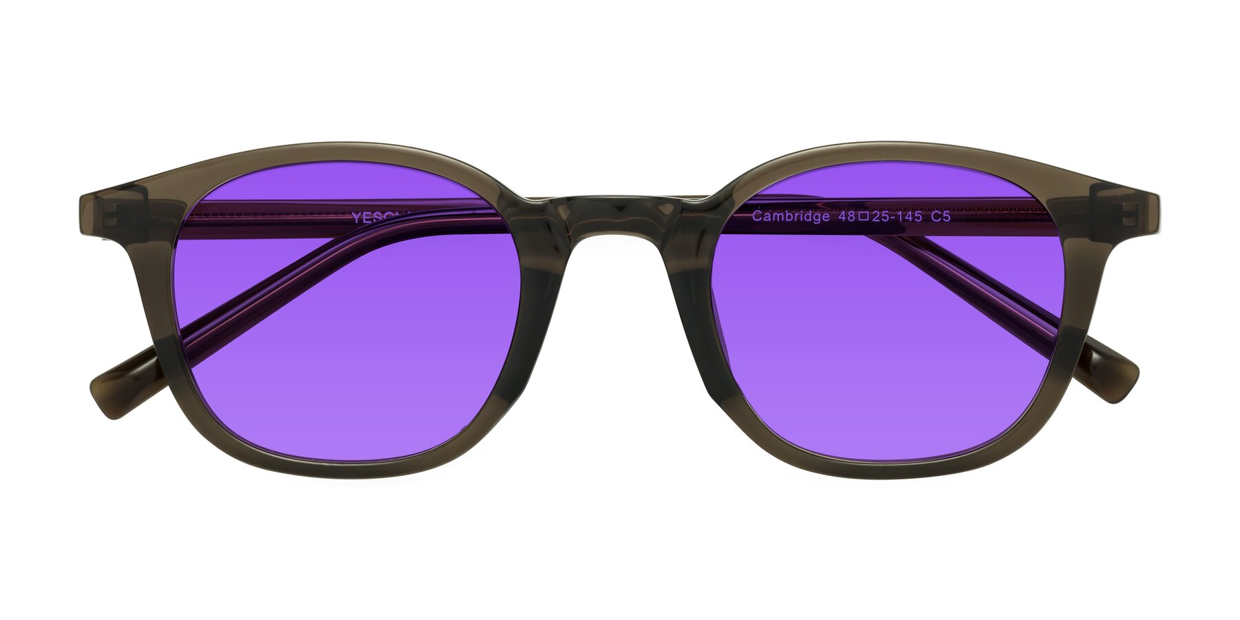 Folded Front of Cambridge in Coffee with Purple Tinted Lenses