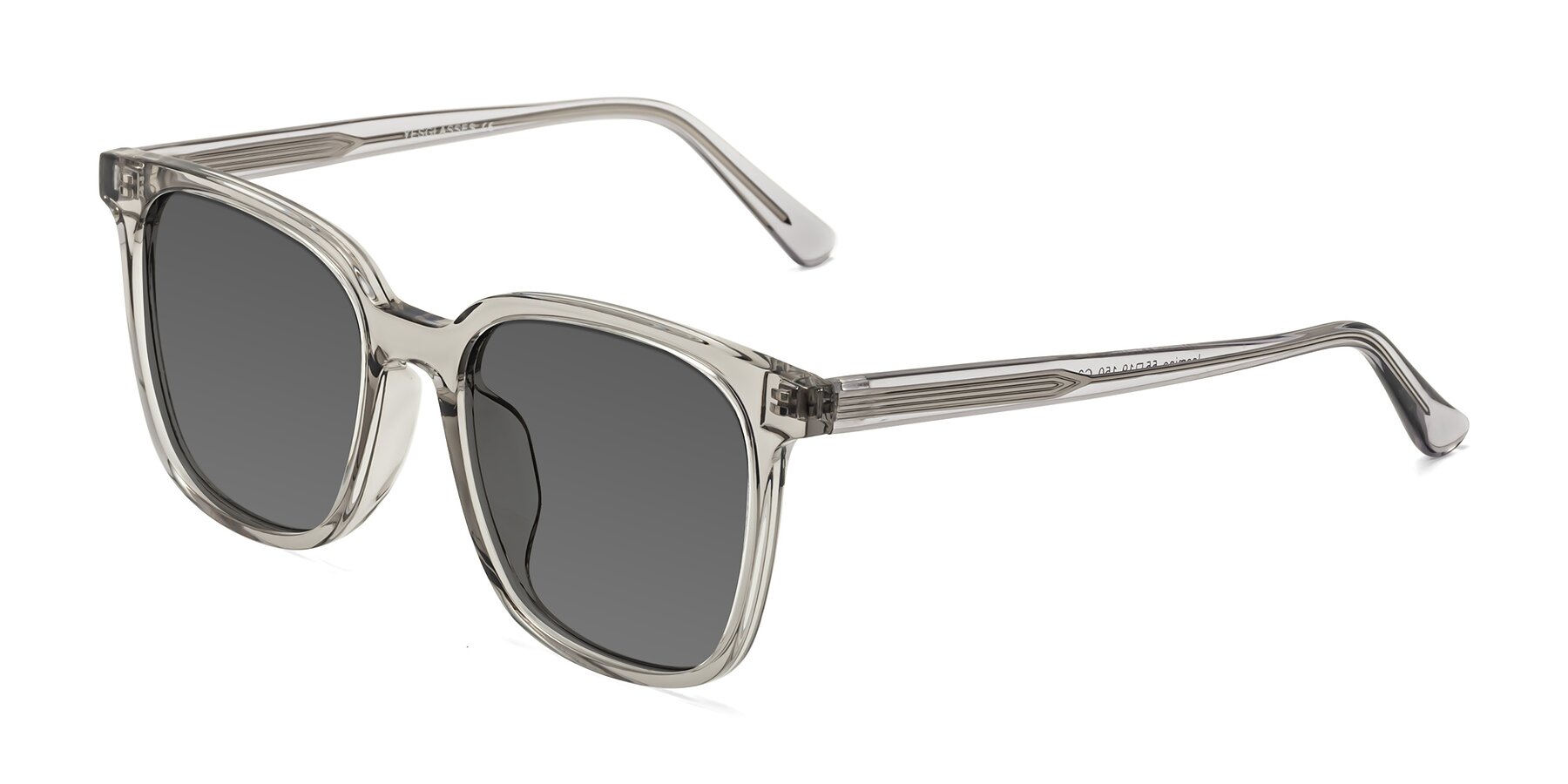 Angle of Jasmine in Translucent Gray with Medium Gray Tinted Lenses