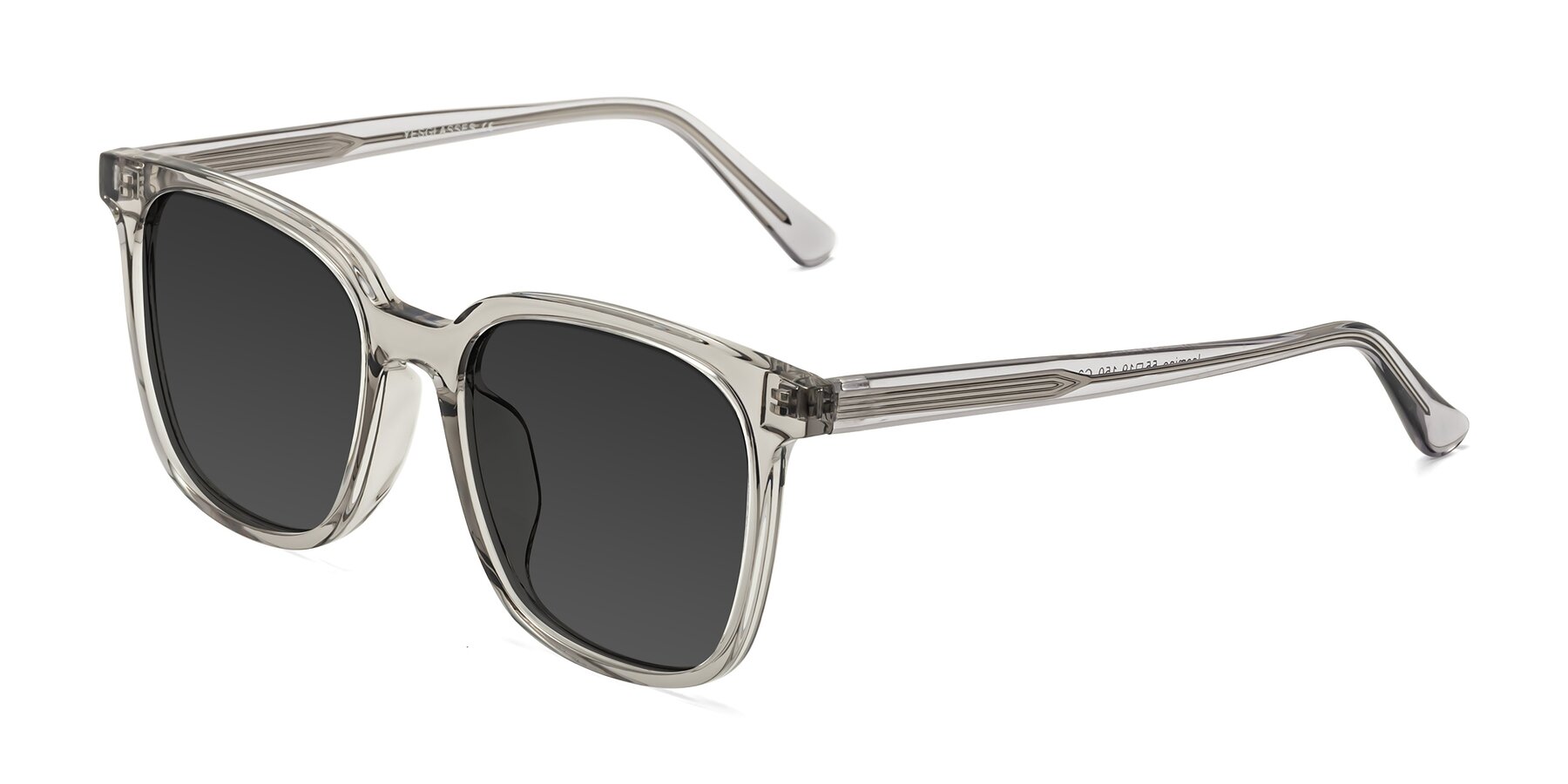 Angle of Jasmine in Translucent Gray with Gray Tinted Lenses