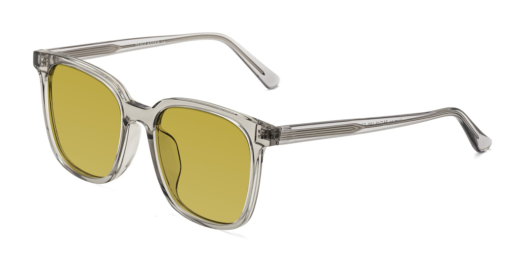 Angle of Jasmine in Translucent Gray with Champagne Tinted Lenses