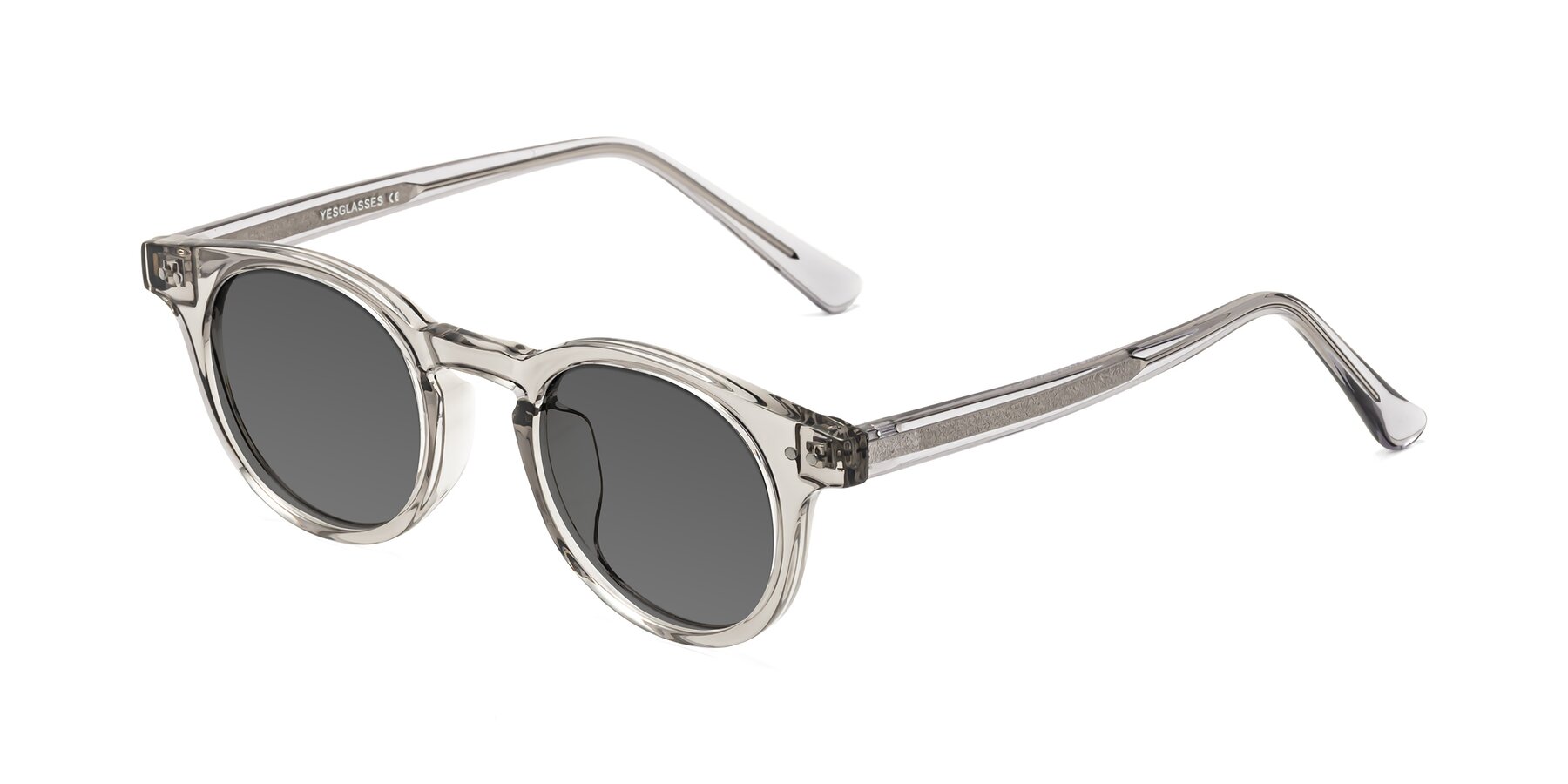 Angle of Sweet in Translucent Gray with Medium Gray Tinted Lenses