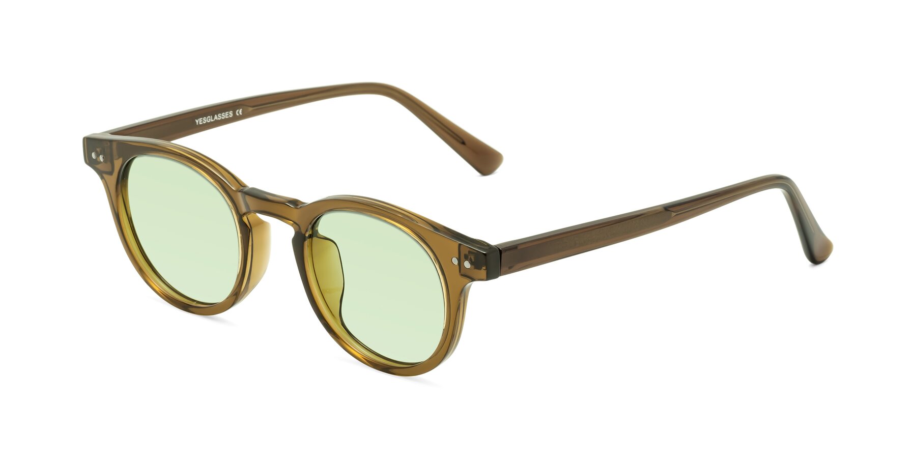 Angle of Sweet in Muddy Brown with Light Green Tinted Lenses