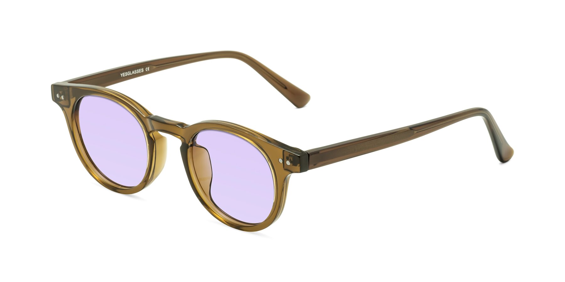 Angle of Sweet in Muddy Brown with Light Purple Tinted Lenses