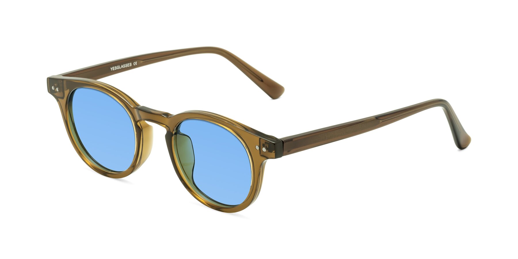 Angle of Sweet in Muddy Brown with Medium Blue Tinted Lenses