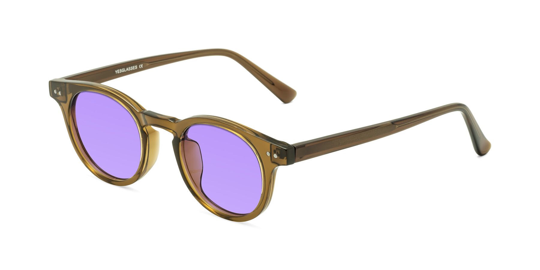 Angle of Sweet in Muddy Brown with Medium Purple Tinted Lenses